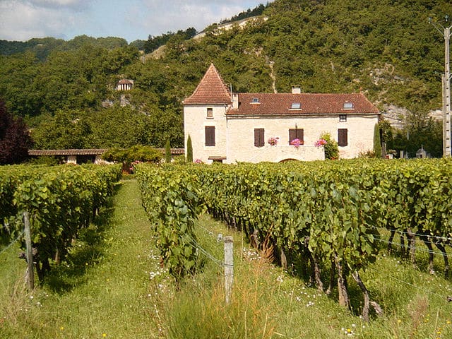 Les vins de Cahors